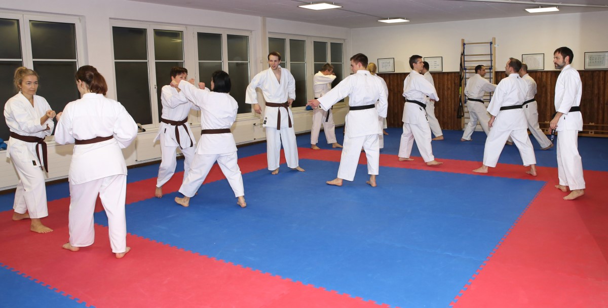 Training_Erwachsene_Nov_2016_(38)